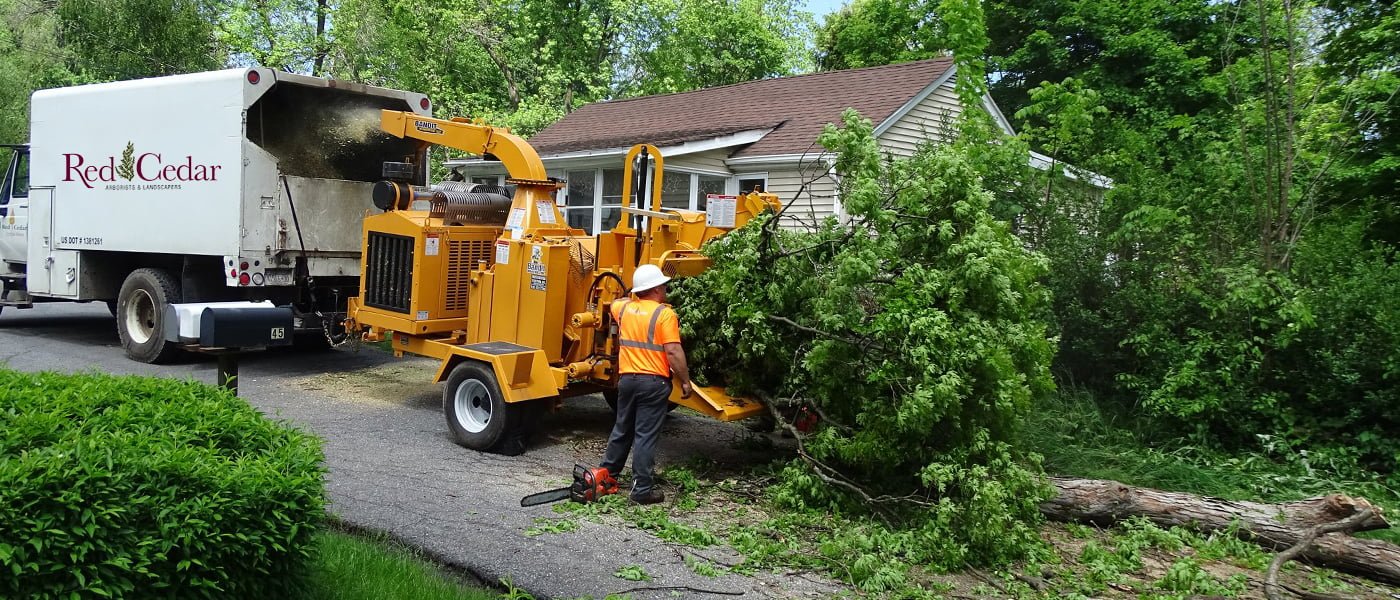 Tree service work